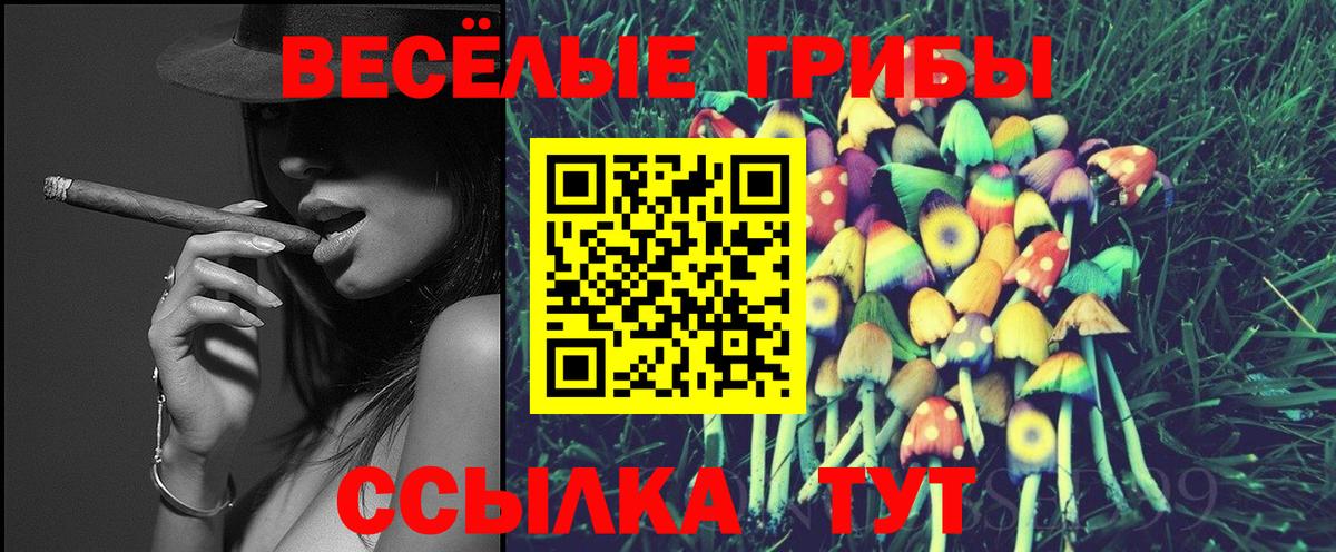 Новошахтинск  Галлюциногенные грибы мицелий  Вход с VPN 